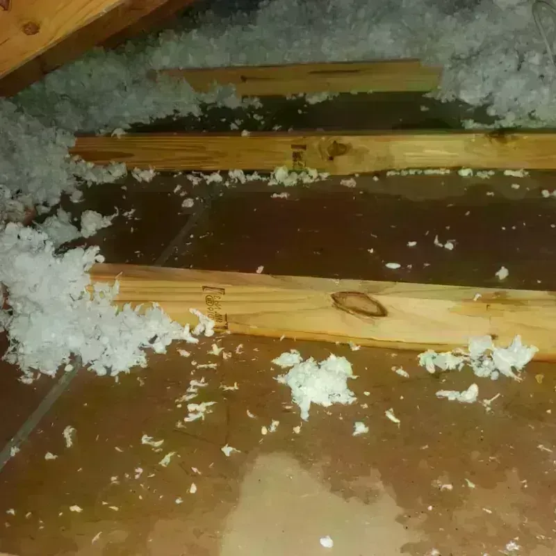 Attic Water Damage in Holyoke, CO