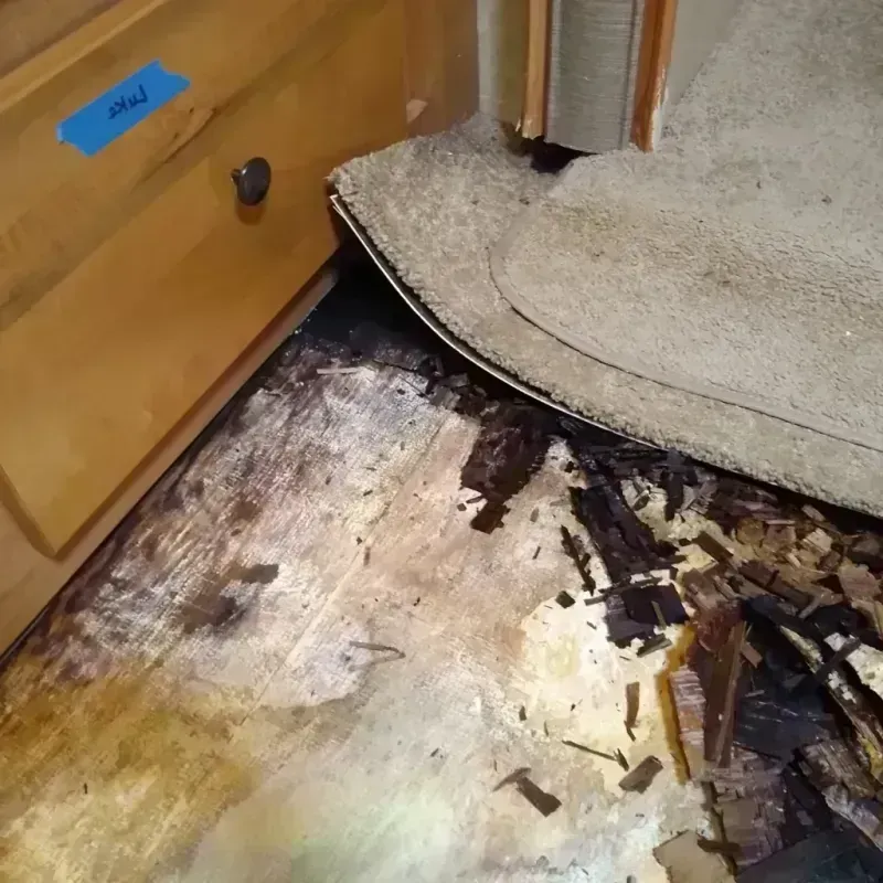 Wood Floor Water Damage in Holyoke, CO